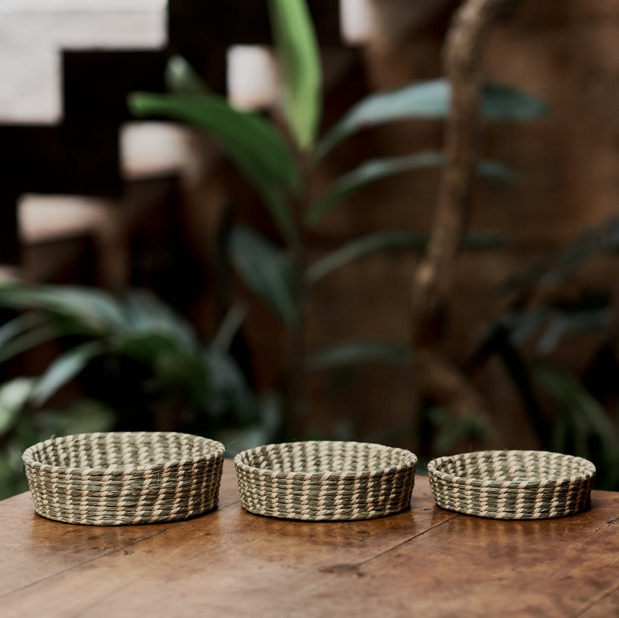 Conjunto Carnaúba 3 Pcs