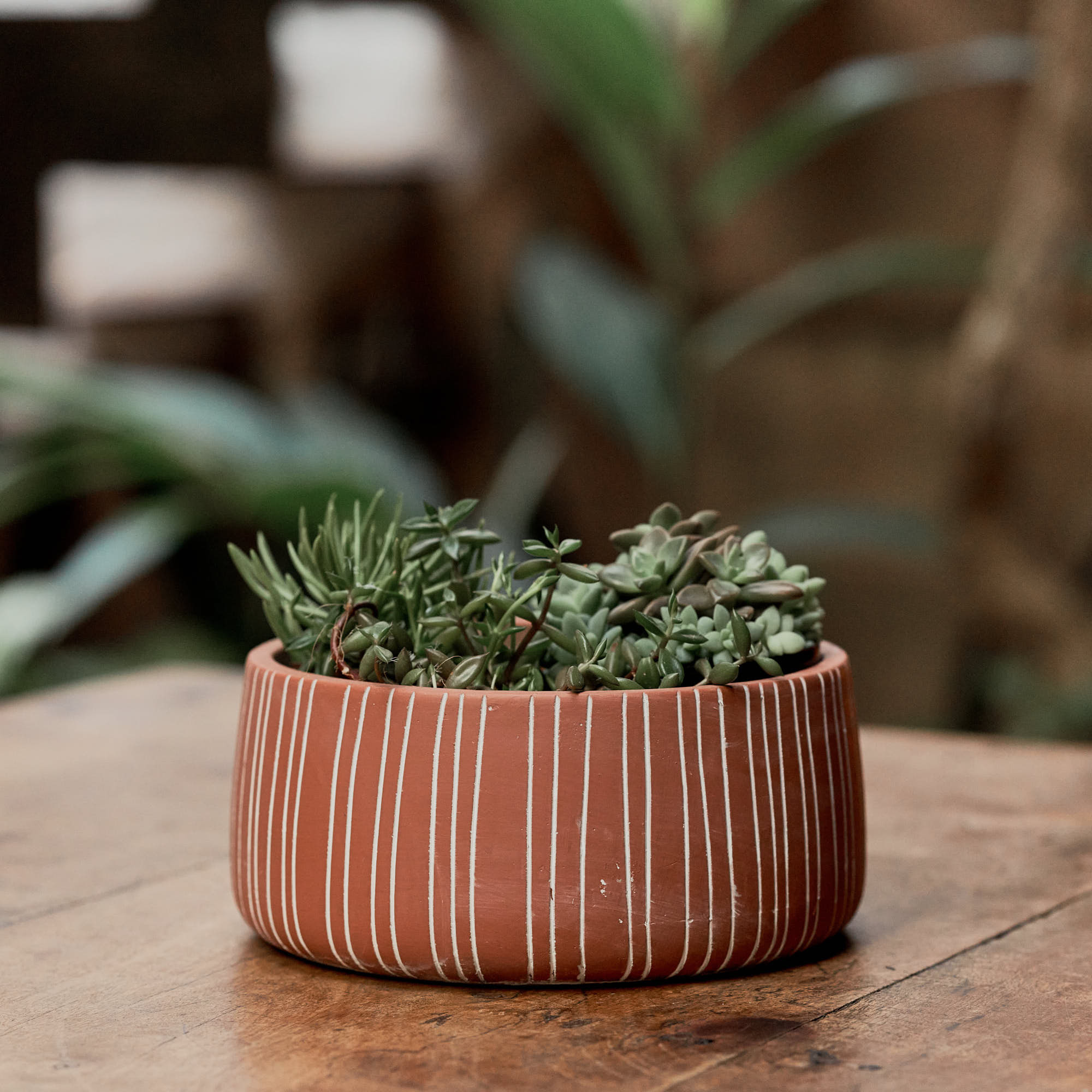 Cachepot Baixo Listras Terra Cota 14cm-U