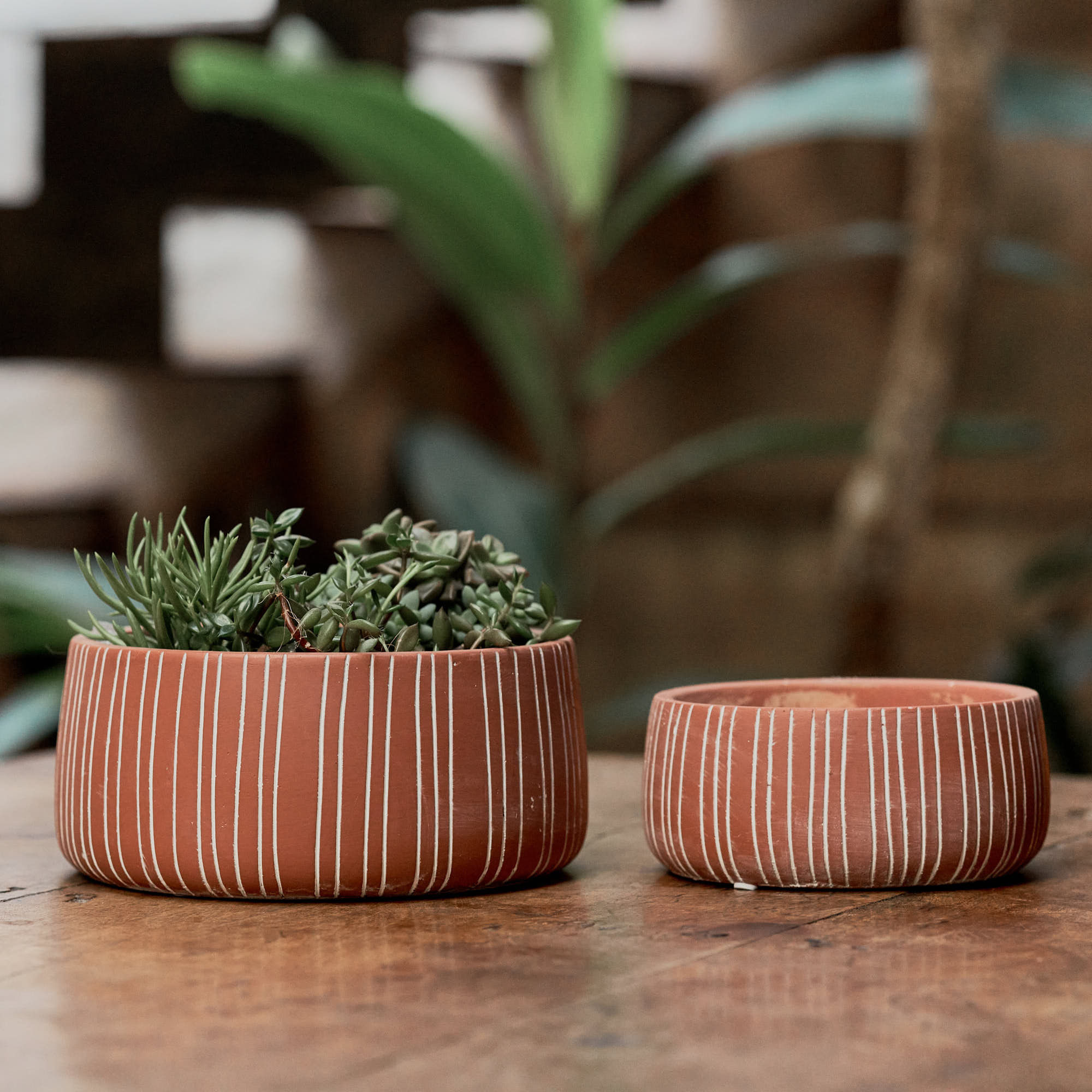 Jogo Cachepot Baixo Listras Terra Cota-U