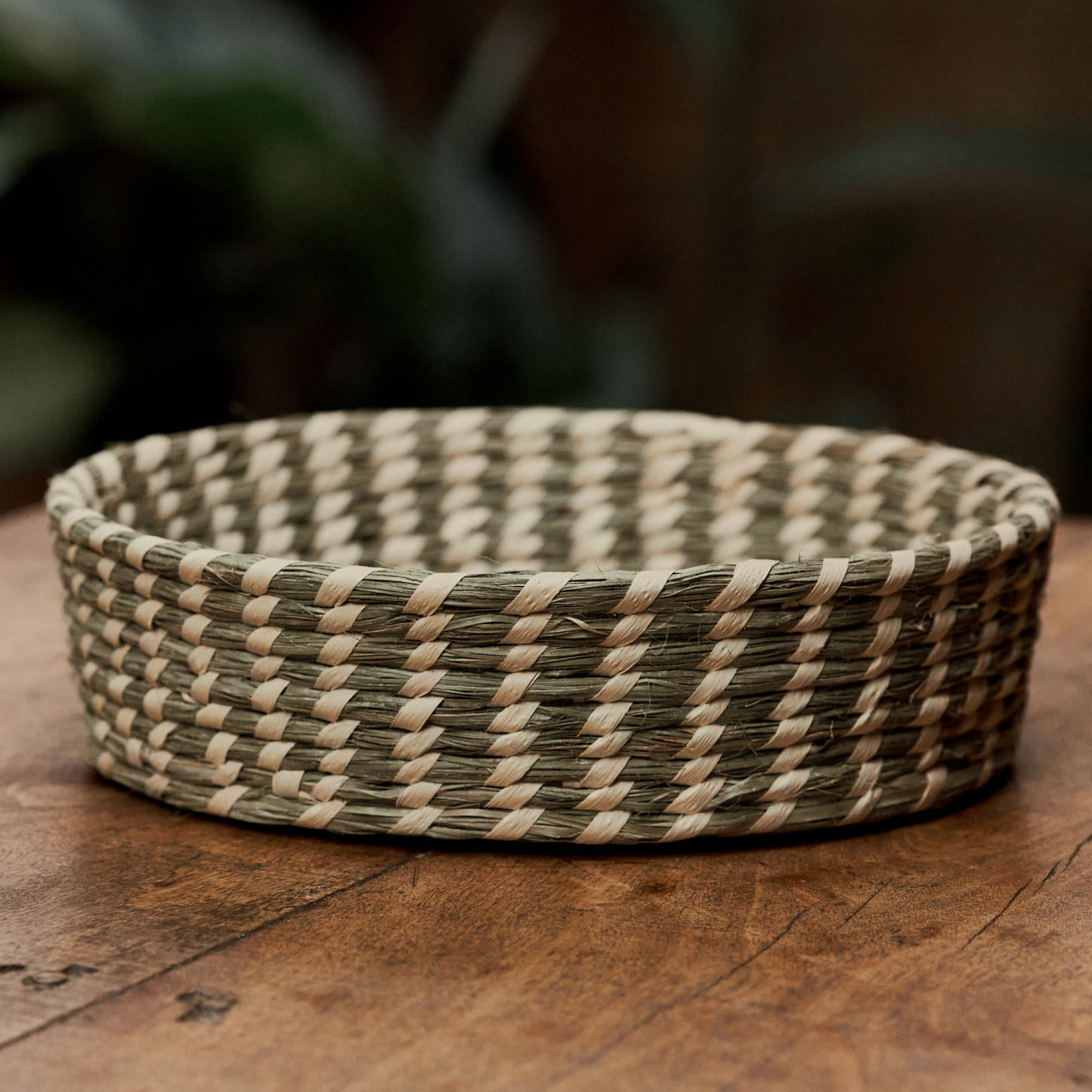 Bandejinha Carnaúba Grande