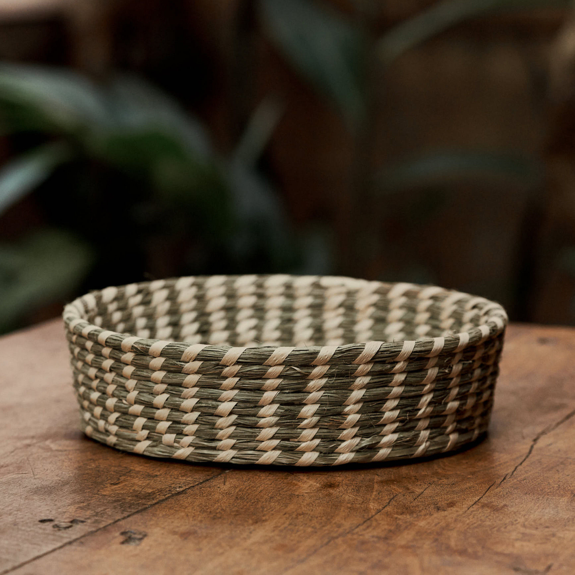 Bandejinha Carnaúba Média