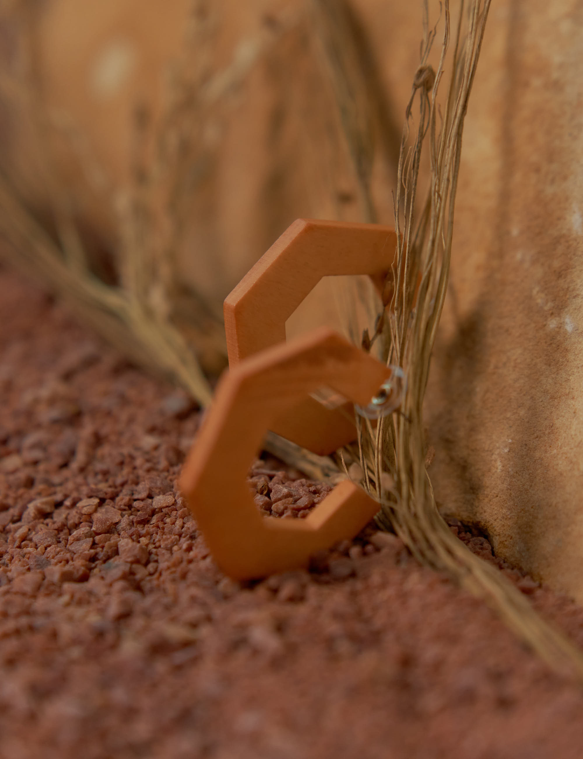 Brinco Argola Geométrica Madeira Cogumelo